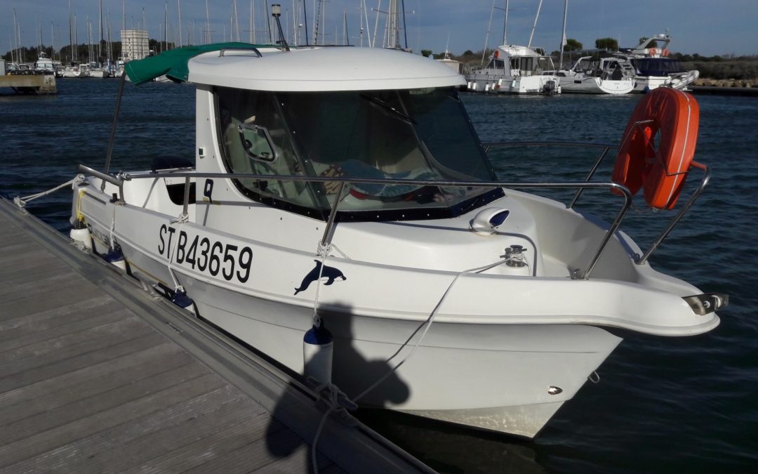 QUICKSILVER 560 TIMONIER